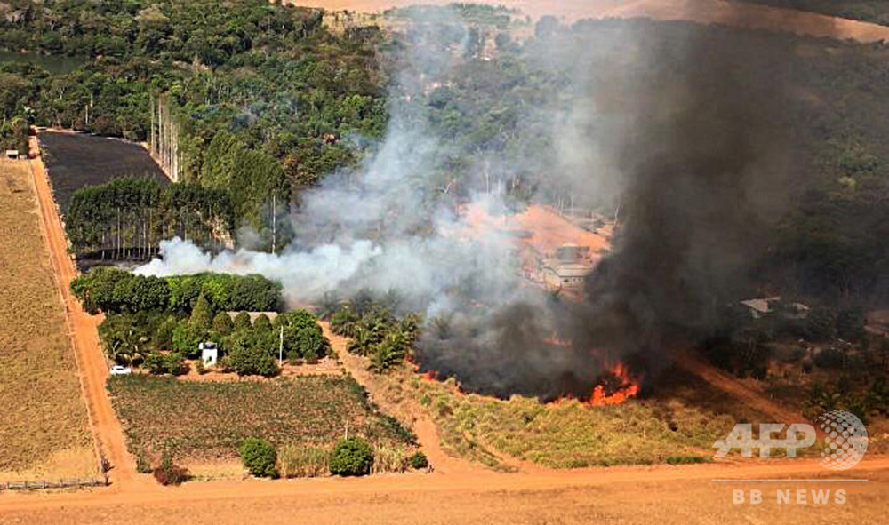 ブラジル・パンタナル湿原の火災件数、7月は観測史上最多