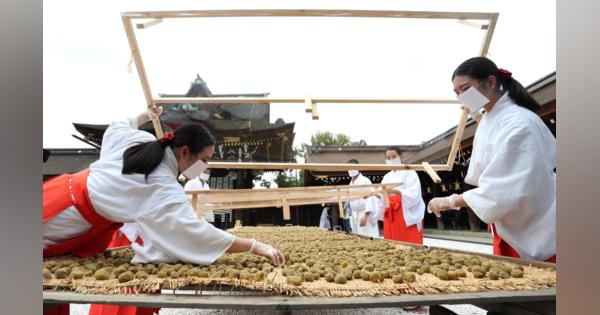 「梅の土用干し」今年はビニールで覆う　名所の京都・北野天満宮、コロナ対策で