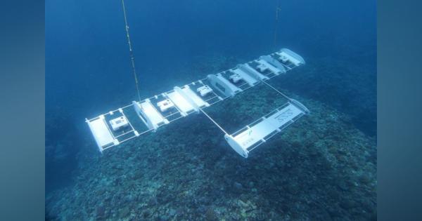 東大のサンゴ分布調査、ダイバー潜水の80倍の効率