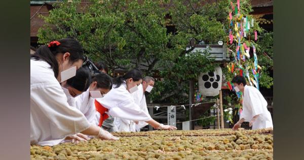 猛暑に爽やかな梅の香り　「大福梅」土用干し始まる　京都・北野天満宮