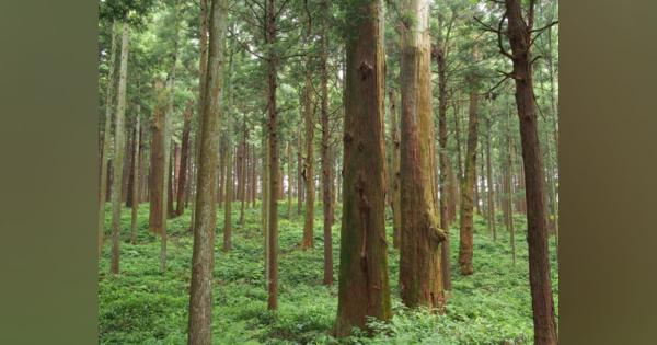 商品調達は生態系を守った農地から！森林破壊を防ぐ動き広がる