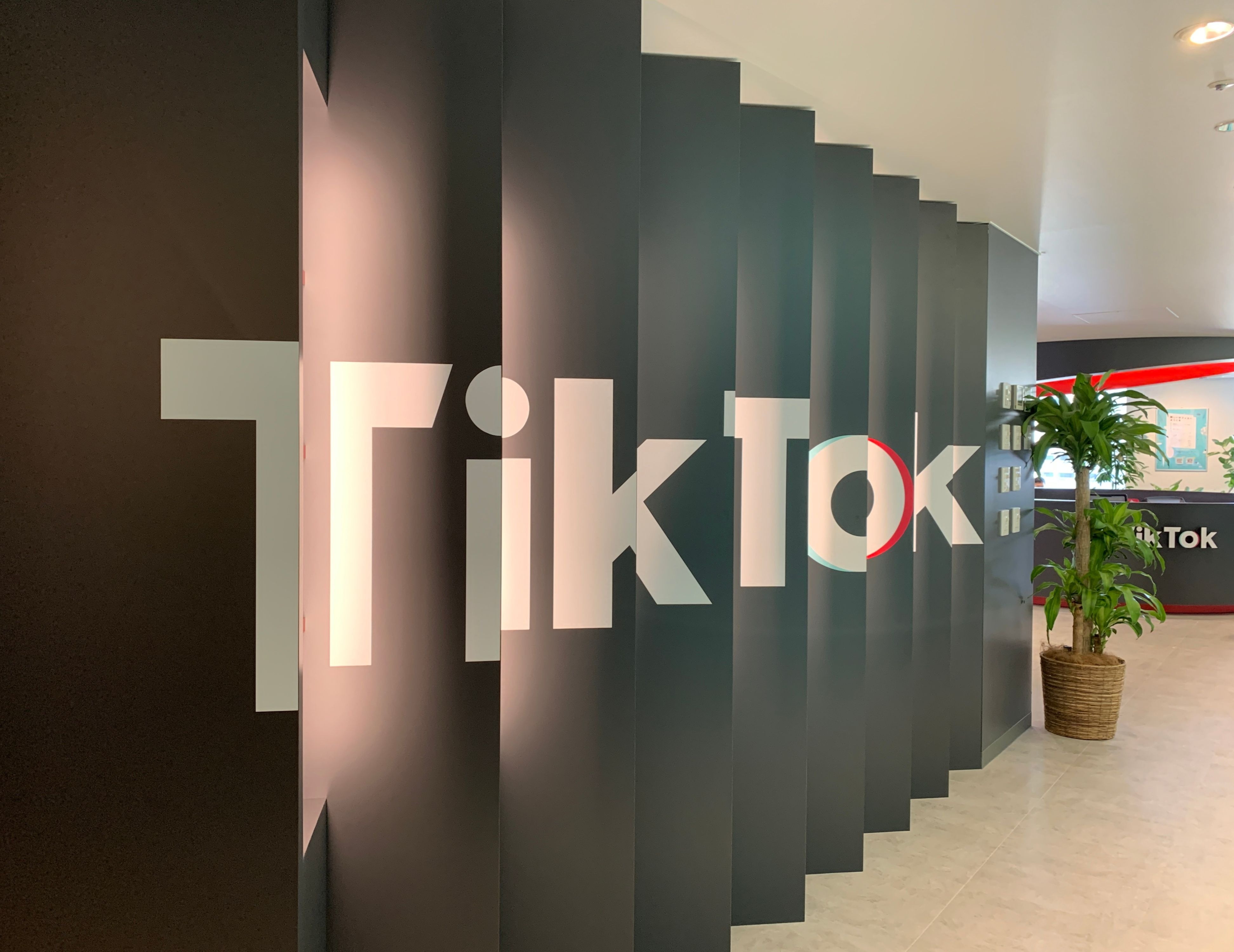 日本の生活に溶け込む「TikTok」、利用禁止でどんな影響が出る？