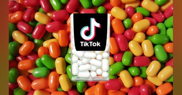 TikTokはトランプ政権の使用禁止大統領令の提訴を準備