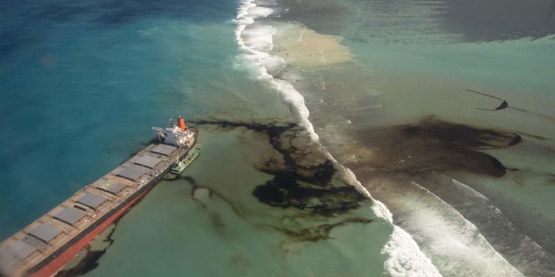重油流出被害「回復に数十年」　環境保護団体、希少生物に危機