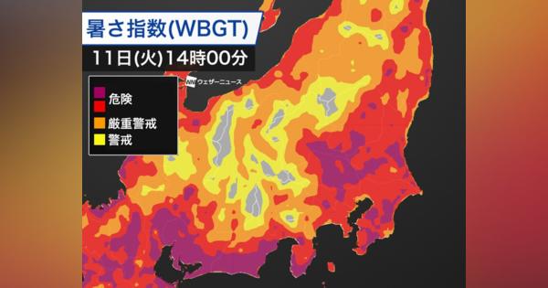 関東は40℃近い酷暑　各地に熱中症警戒アラート
