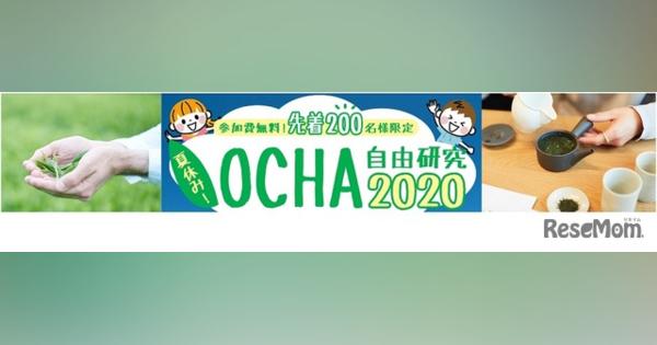 【夏休み2020】伊藤園「OCHA自由研究」イベント動画配信予定