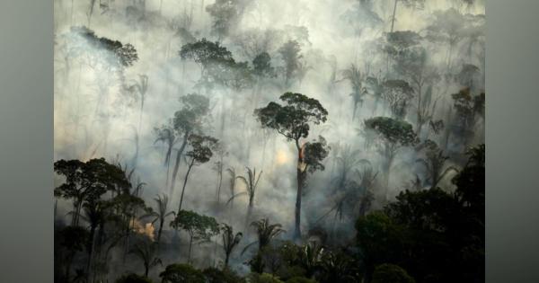 ブラジル大統領、アマゾンの森林火災は「うそ」