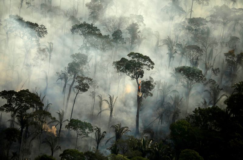 ブラジル大統領、アマゾンの森林火災は「うそ」