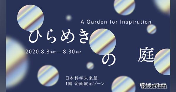 【夏休み2020】日本科学未来館、空間インスタレーション「ひらめきの庭」8/30まで