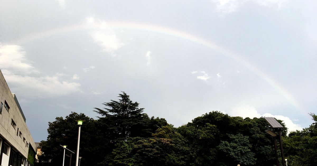 虹が東京都心に出現。ゲリラ豪雨の直後の夕暮れどき