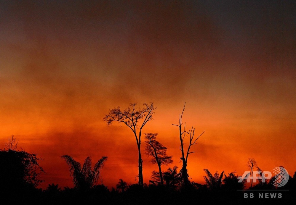アマゾン火災は「うそ」、ブラジル大統領が主張