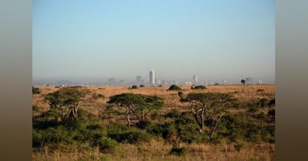 ケニアで４月から続く都市封鎖。アフリカ全土、アフリカゾウとサイの“密猟”急増 - ビッグイシュー・オンライン