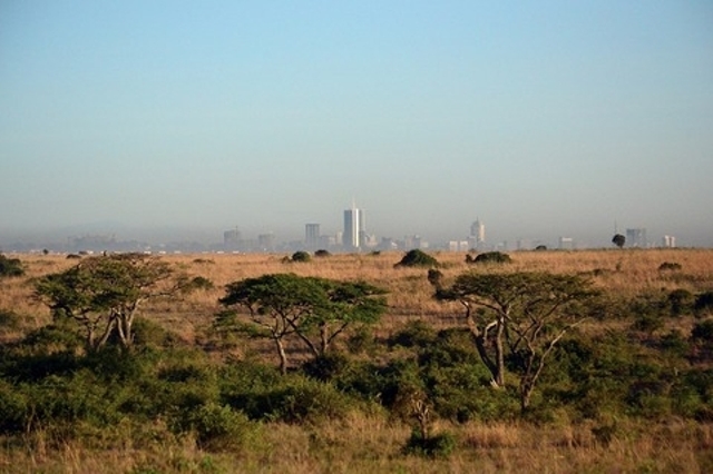 ケニアで４月から続く都市封鎖。アフリカ全土、アフリカゾウとサイの“密猟”急増 - ビッグイシュー・オンライン