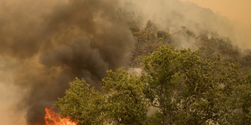 山火事で1200平方キロ焼失　米加州、300件超発生