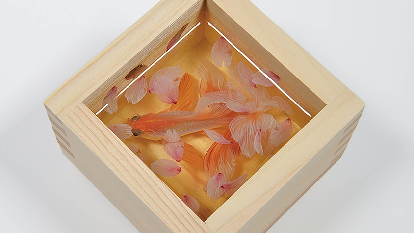 「金魚」がテーマの現代アート展が話題