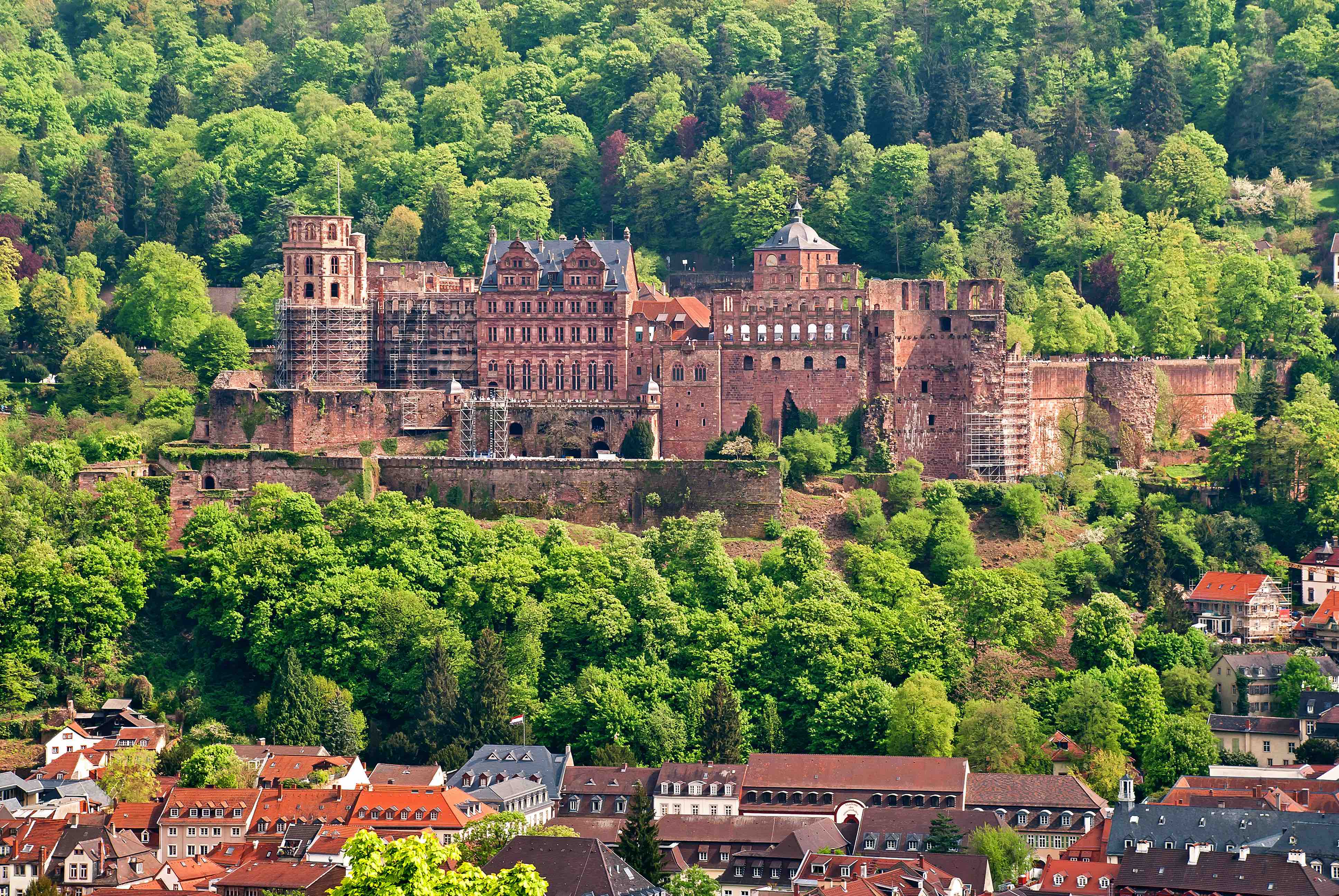 芸術家が愛した廃墟の美、ドイツ・ハイデルベルク城　世界の美しい城（第1回）