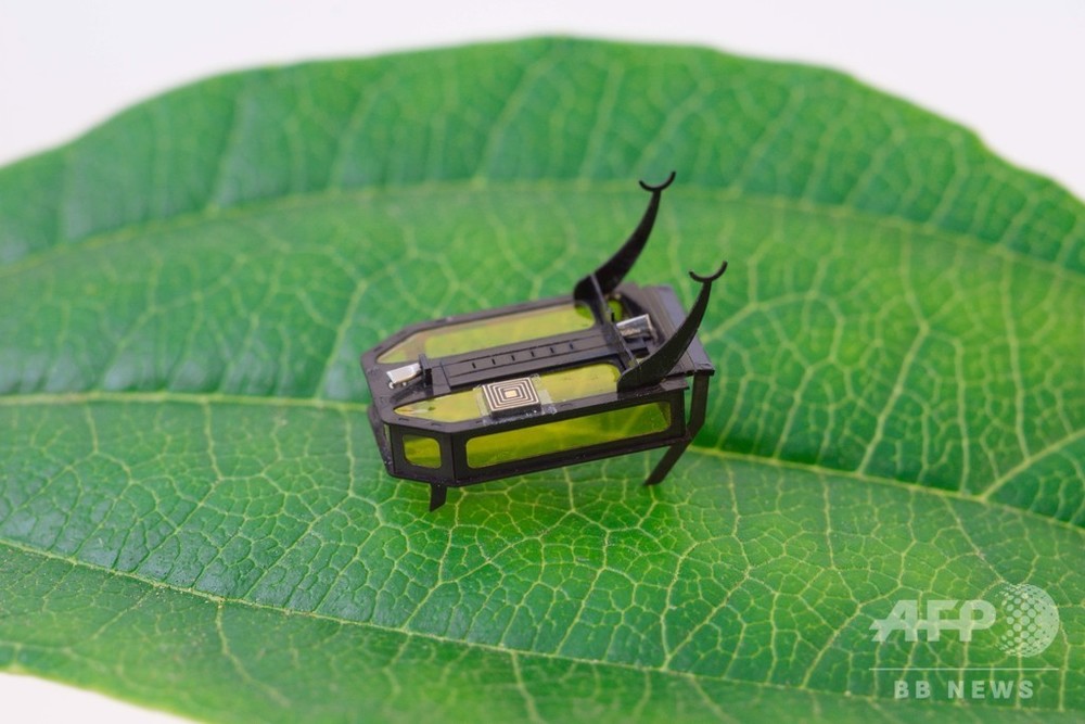 電池不要 メタノールで動く極小甲虫ロボットを開発 米研究