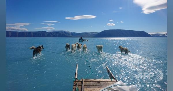 グリーンランドの氷床融解、2019年は過去最多の5320億トン