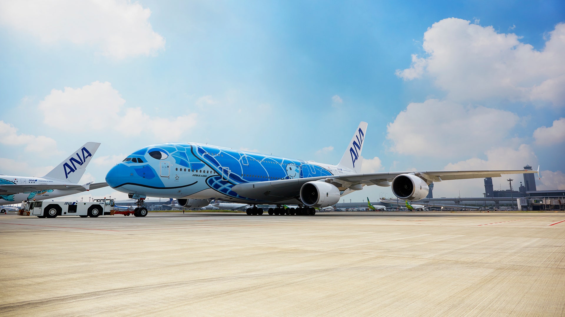 一般客の声がANAを動かした！ A380遊覧飛行リポート