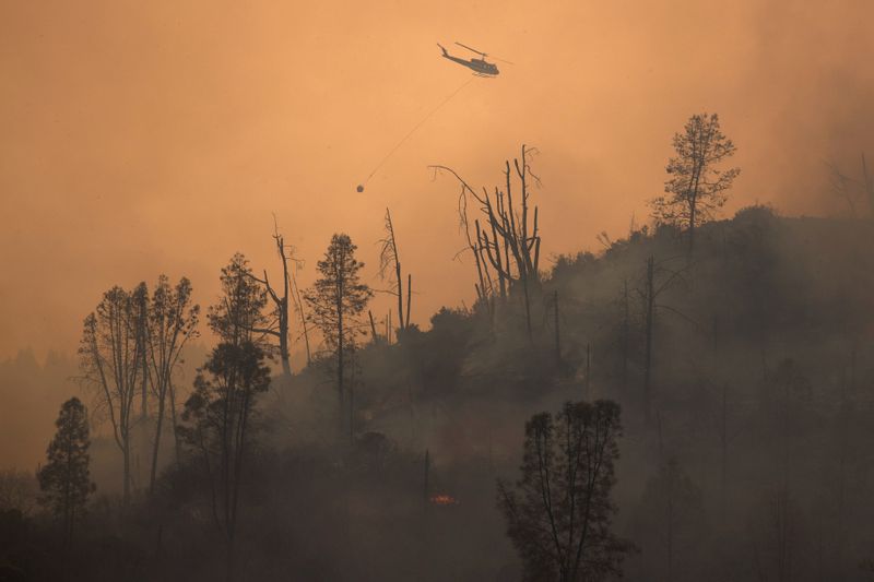 カリフォルニアの山火事さらに広がる、湿度高い沿岸部の森も被害