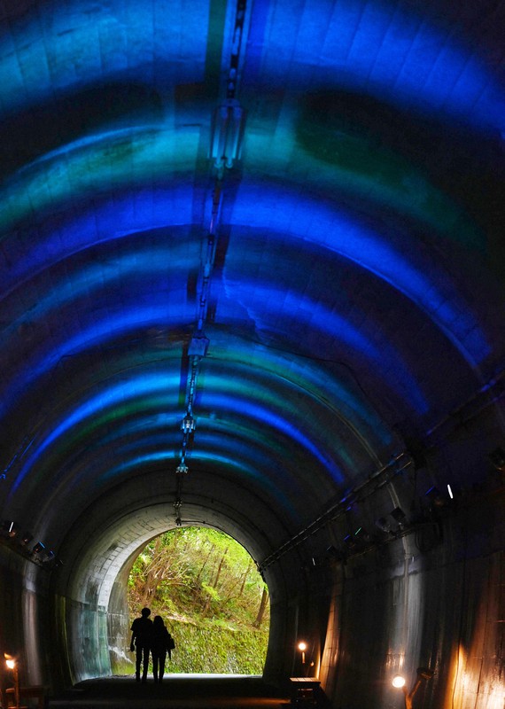 涼届ける青いトンネル　LEDでライトアップ　神戸・森林植物園