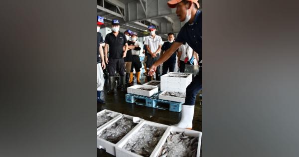 ニギス大漁、掛け声威勢良く　底引き網漁解禁　京都・舞鶴で初競り