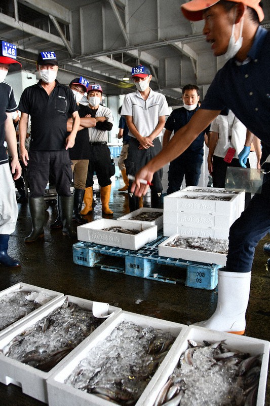 ニギス大漁、掛け声威勢良く　底引き網漁解禁　京都・舞鶴で初競り