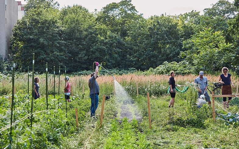 コロナ禍のドイツは園芸がブームに。農園でつながりづくり進む
