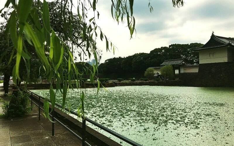 “江戸城の遺跡皇居”を楽しむ ──竹橋で働く社員のおすすめスポット＆お弁当ランチ