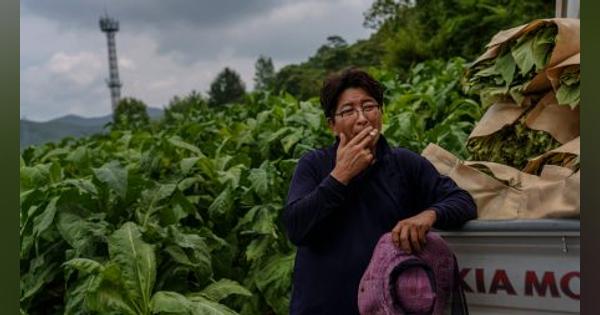 外国人労働者が頼みの綱─深刻すぎる人手不足に苦しむ韓国の農家たち