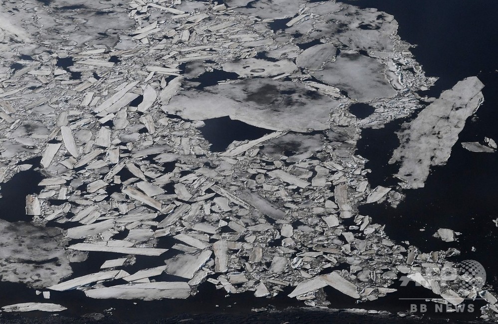 ベーリング海の海氷、過去5500年間で最小に 研究