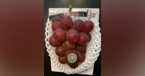 「世界一の葡萄（ぶどう）」―ルビーロマンと付加価値農業― - 笹川陽平