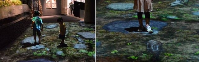 京都水族館、デジタル映像技術を使った空間で「オオサンショウウオに出会う疑似体験」を開催へ
