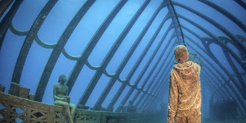 世界最大のサンゴ礁に海中美術館　オーストラリア、保護や復元訴え