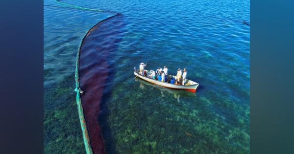 茂木外相がモーリシャス首相と会談、環境・漁業・経済支援を表明