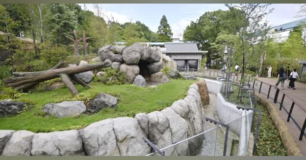 上野動物園「パンダのもり」完成　中国の故郷モデルに施設一新