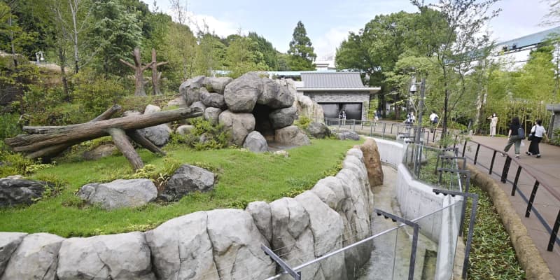上野動物園「パンダのもり」完成　中国の故郷モデルに施設一新