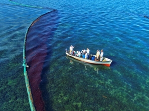 茂木外相がモーリシャス首相と会談、環境・漁業・経済支援を表明 - ロイター