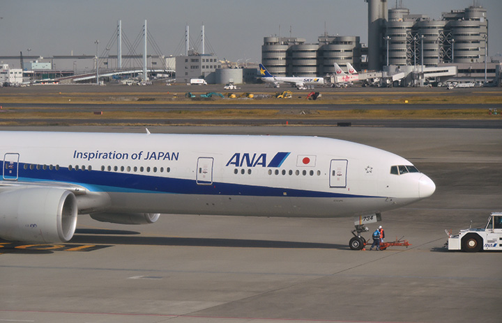 ANA、羽田－ヒューストン再開　成田－ホノルル2往復のみ、10月国際線87％運休