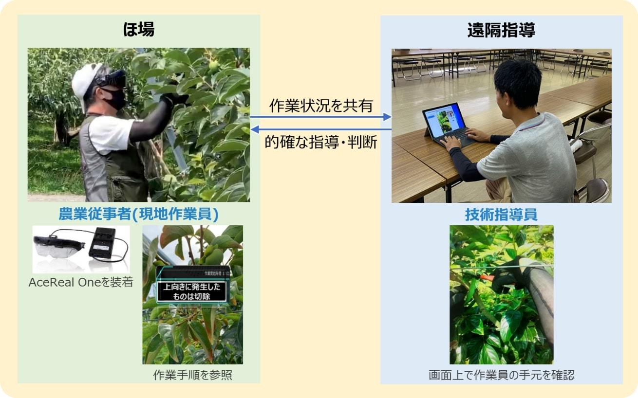 スマートグラスで農業を遠隔指導　ドコモが佐渡島で実験　新潟特産「おけさ柿」の栽培技術を後世に