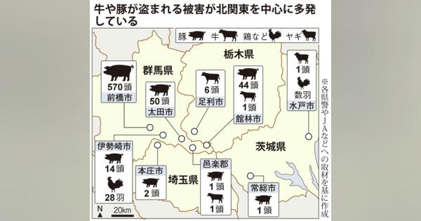 相次ぐ家畜連続窃盗　被害は７００匹以上　牛、豚、鳥はどこに…