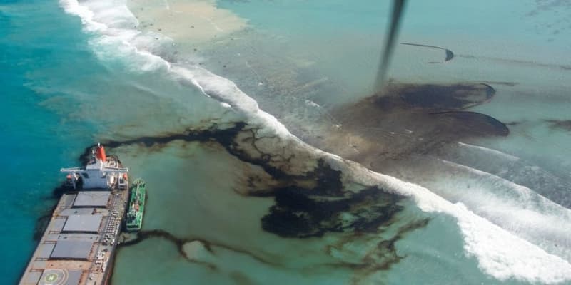 重油被害のサンゴ回復に10億円　モーリシャス沖事故で商船三井