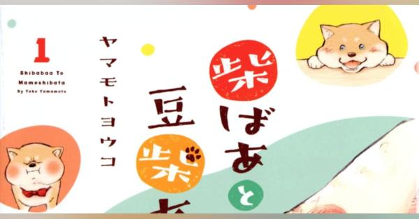 東日本大震災を自分事に　漫画「柴ばあと豆柴太」
