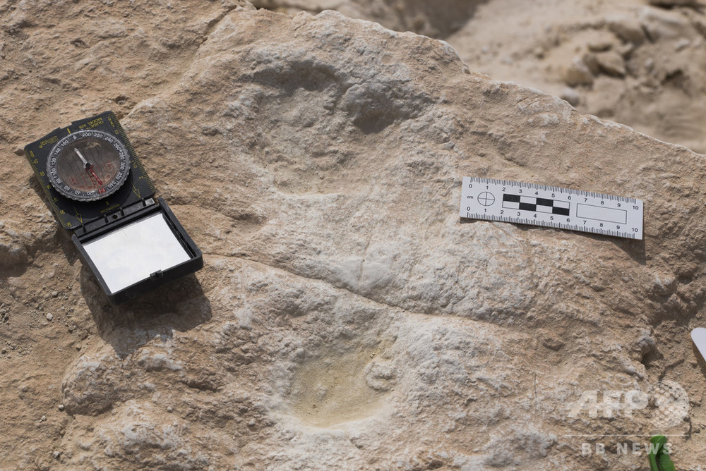 12万年前の人間の足跡発見 サウジの砂漠は緑豊かだった可能性 論文