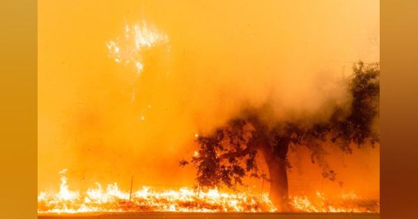米国西部が燃える中、森林炭素モニタリングサービス運営のPachamがアマゾンとビル・ゲイツ支援ファンドか資金調達