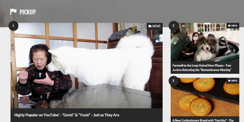 「秋田犬新聞」の英語サイト公開　かわいい姿を世界に発信