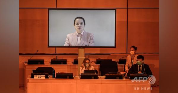 ベラルーシ大使、反政権派の動画停止を要求 国連人権理事会