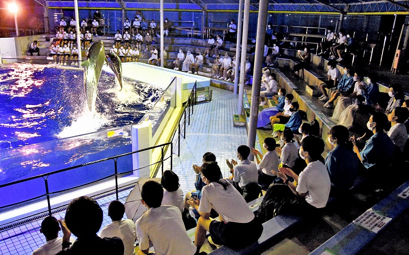 夜の越前松島水族館、貸し切りが人気