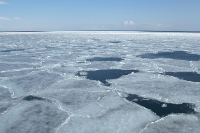 地球温暖化で急激に減る北極海の海氷量、流れ込む「冷水」の起源を突き止めた！