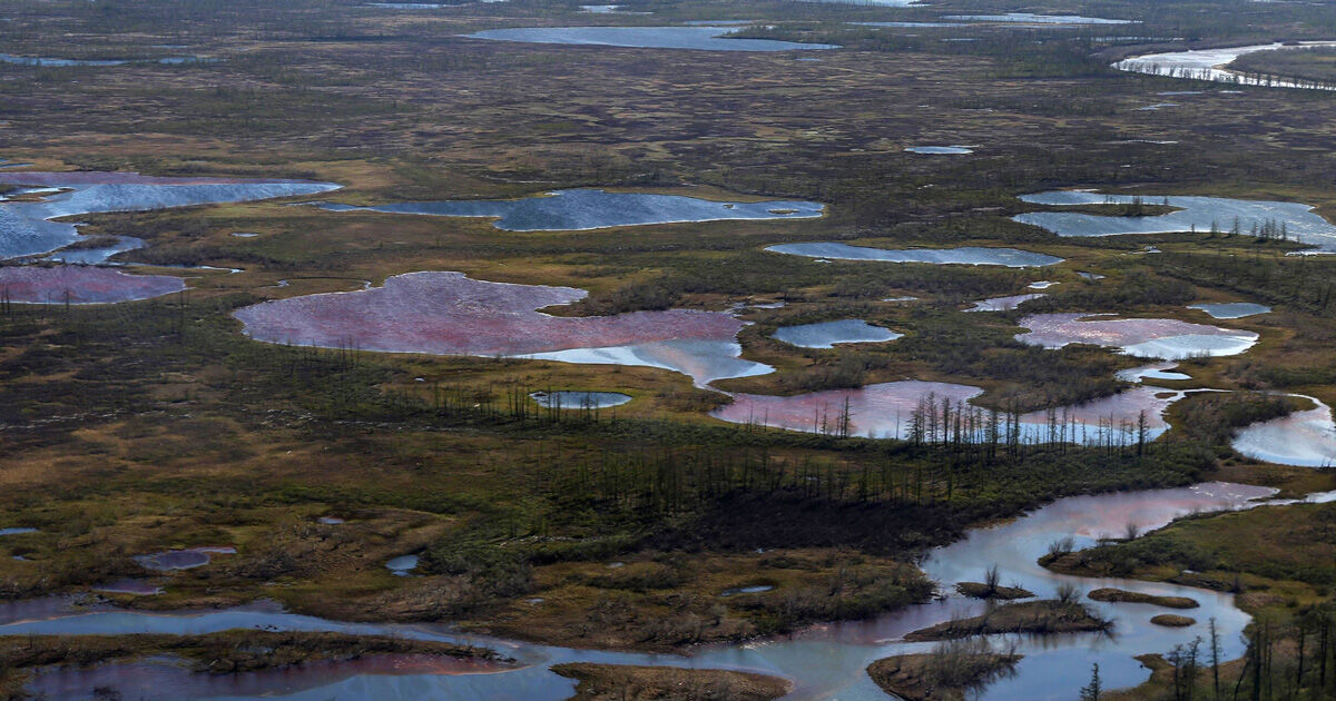 永久凍土の融解、石油流出地球の炭素貯蔵庫・北極圏に“もたらされた”悲惨な夏